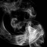 Smoke Stock 20