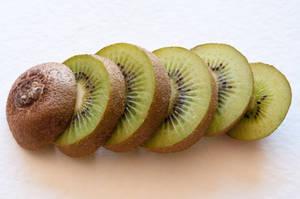 Kiwi Stock 2