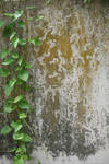 Green Wall 01 by CD-STOCK