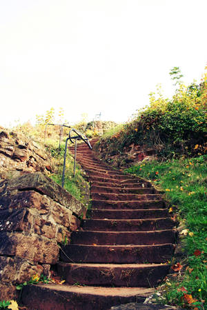 Stairs by CD-STOCK Stairs by CD-STOCK