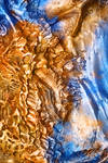 Golden Seahorse In Blue by CD-STOCK+Somadjinn by CD-STOCK