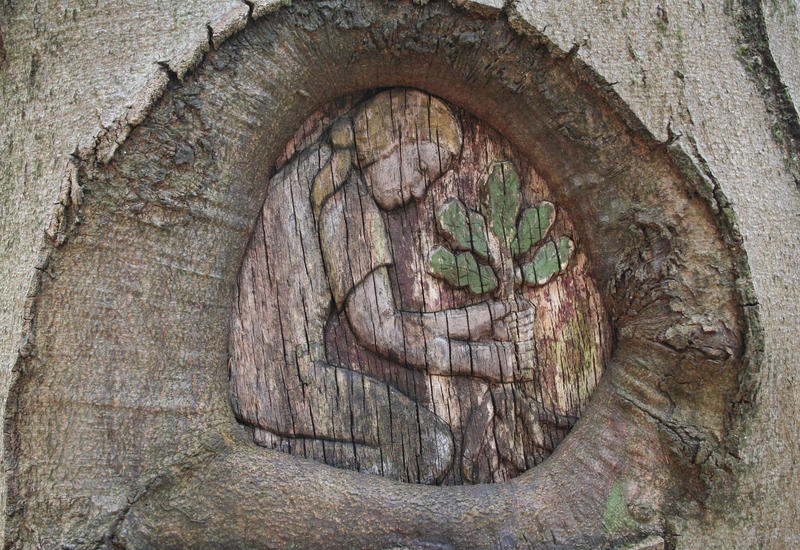 Tree Carving by CD-STOCK by CD-STOCK