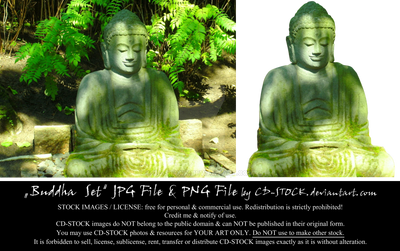Buddha Set by CD-STOCK by CD-STOCK