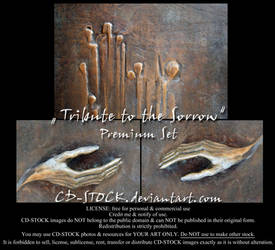 Tribute to the Sorrow by CD-STOCK