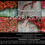 Colours Of Passion by CD-STOCK Premium Set Preview