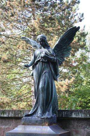 Angel 15 by CD-STOCK by CD-STOCK Angel 15 by CD-STOCK by CD-STOCK