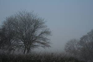 Foggy BG 02A by CD-STOCK by CD-STOCK Foggy BG 02A by CD-STOCK by CD-STOCK