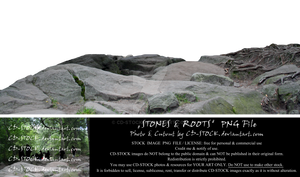 Stones and Roots PNG by CD-STOCK Premium Stock
