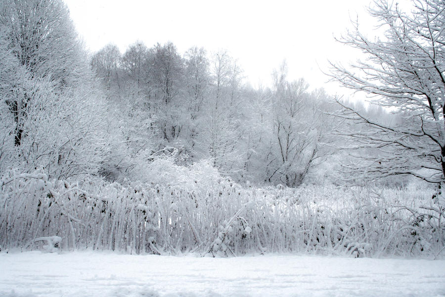 Winterscape 01 by CD-STOCK by CD-STOCK Winterscape 01 by CD-STOCK by CD-STOCK