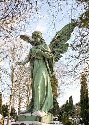 Winter Angel by CD-STOCK by CD-STOCK Winter Angel by CD-STOCK by CD-STOCK