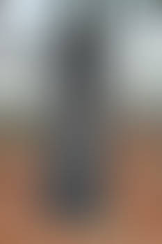 Sculpture 17 by CD-STOCK