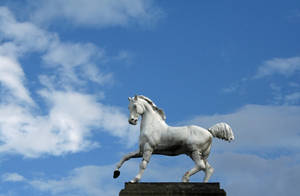 Horse Statue by CD-STOCK by CD-STOCK