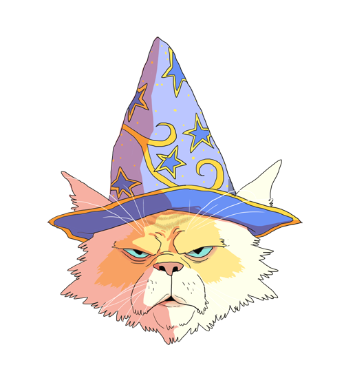 Wizard Cat