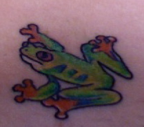 My frog