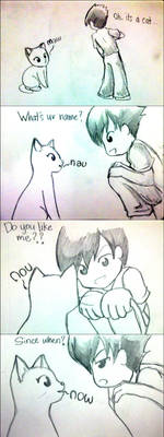 Nau the cat comic