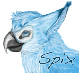 Spix's Macaw Caracal?