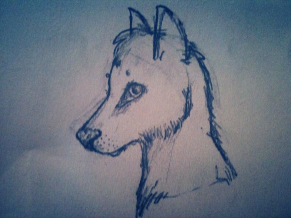 Get bored... Draw wolf...