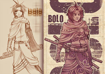 Bolo2004-Bolo2011