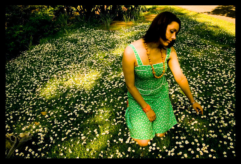 daisy picker by alanc79 on DeviantArt
