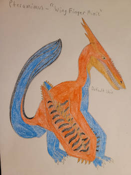 Pteramimus- ''Wing Finger Mimic''