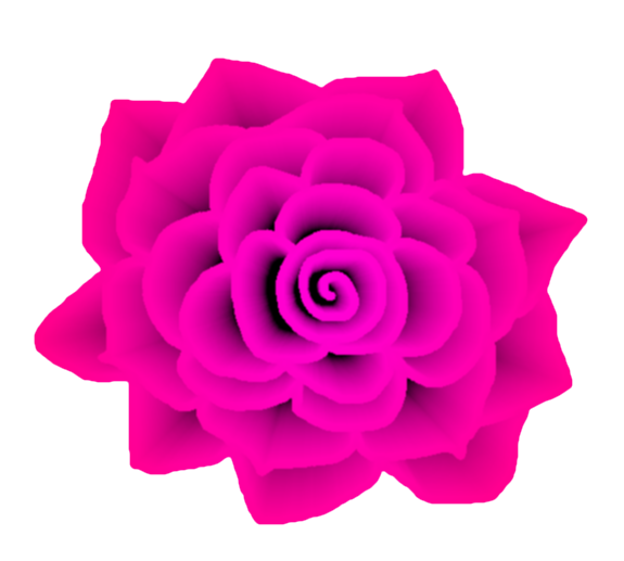 Deep Pink Rose STOCK