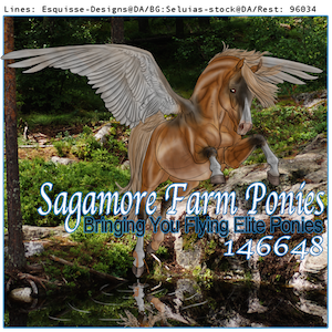 Sagamore Farm Ponies, Stable Avatar