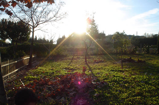 Twilight in the countryside