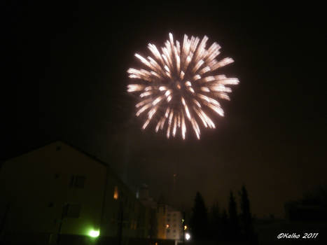 Happy New Year 2012