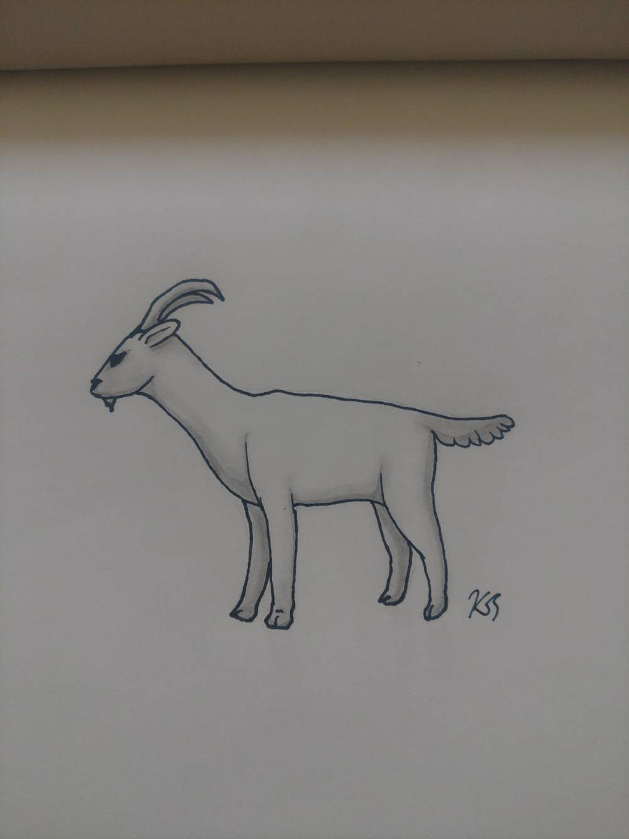 Baaa Draw Baaa. by ViperSnakeArts on DeviantArt