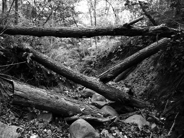 The Ravine by Photoguy42 on DeviantArt