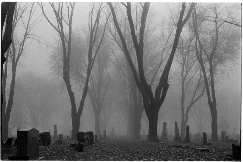 Foggy Graveyard