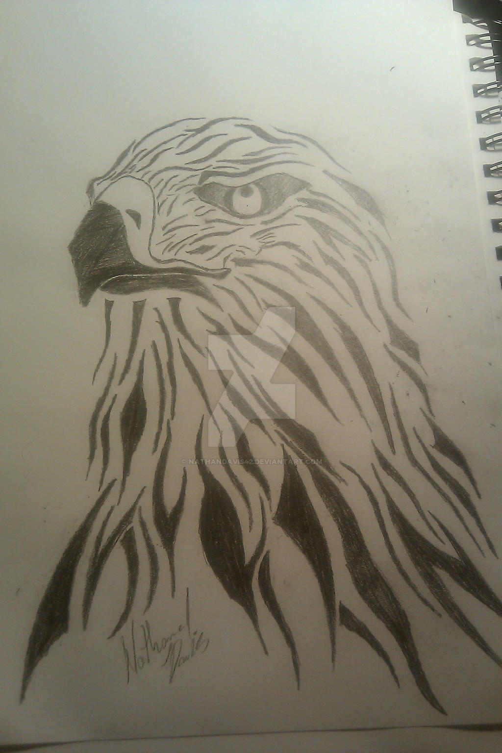 Hawk tattoo design