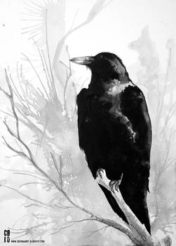 Watercolor Raven