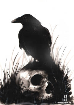 Inkwash Skull and Bird