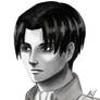 Levi