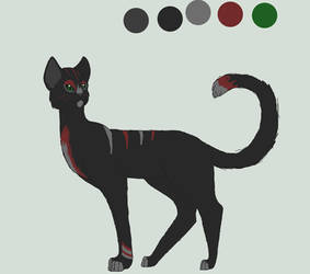 Cat Adoptable OPEN