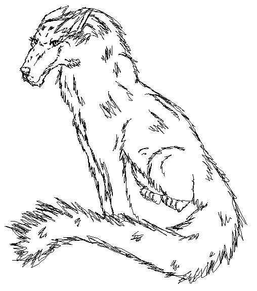 quicky quick sketchy sketch canine