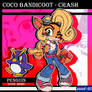 Coco Bandicoot Crash and Penguin Sonic Rush