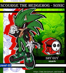 Scourge the Hedgehog Sonic and Shy Guy Mario