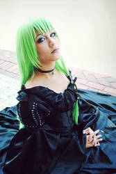 Code Geass - Companion of  Highness