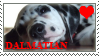 Dalmatian Stamp