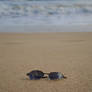 The old sunglasses in the sand photo