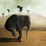 I can fly!
