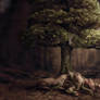 Cycle of Life