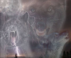 Wolf Storm collage