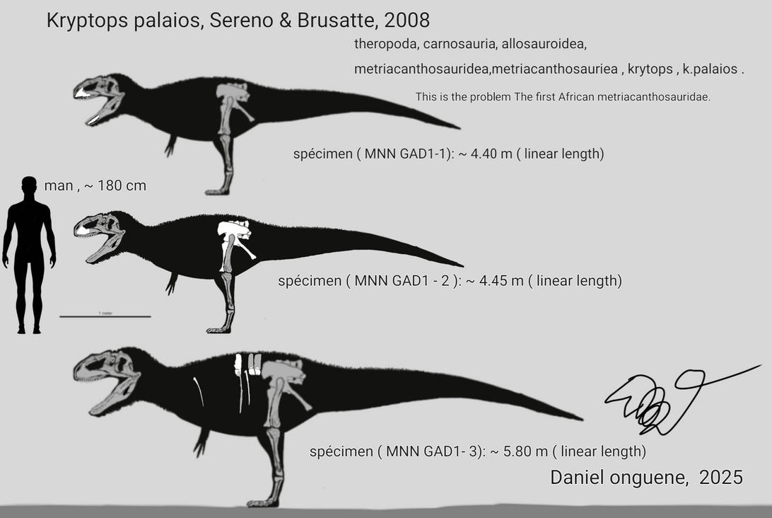 Kryptops is probably not an abelisauridae by dinosauredusud on DeviantArt