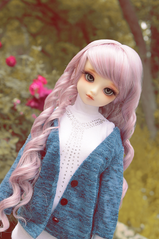 Volks Suiseiseki - In the Garden