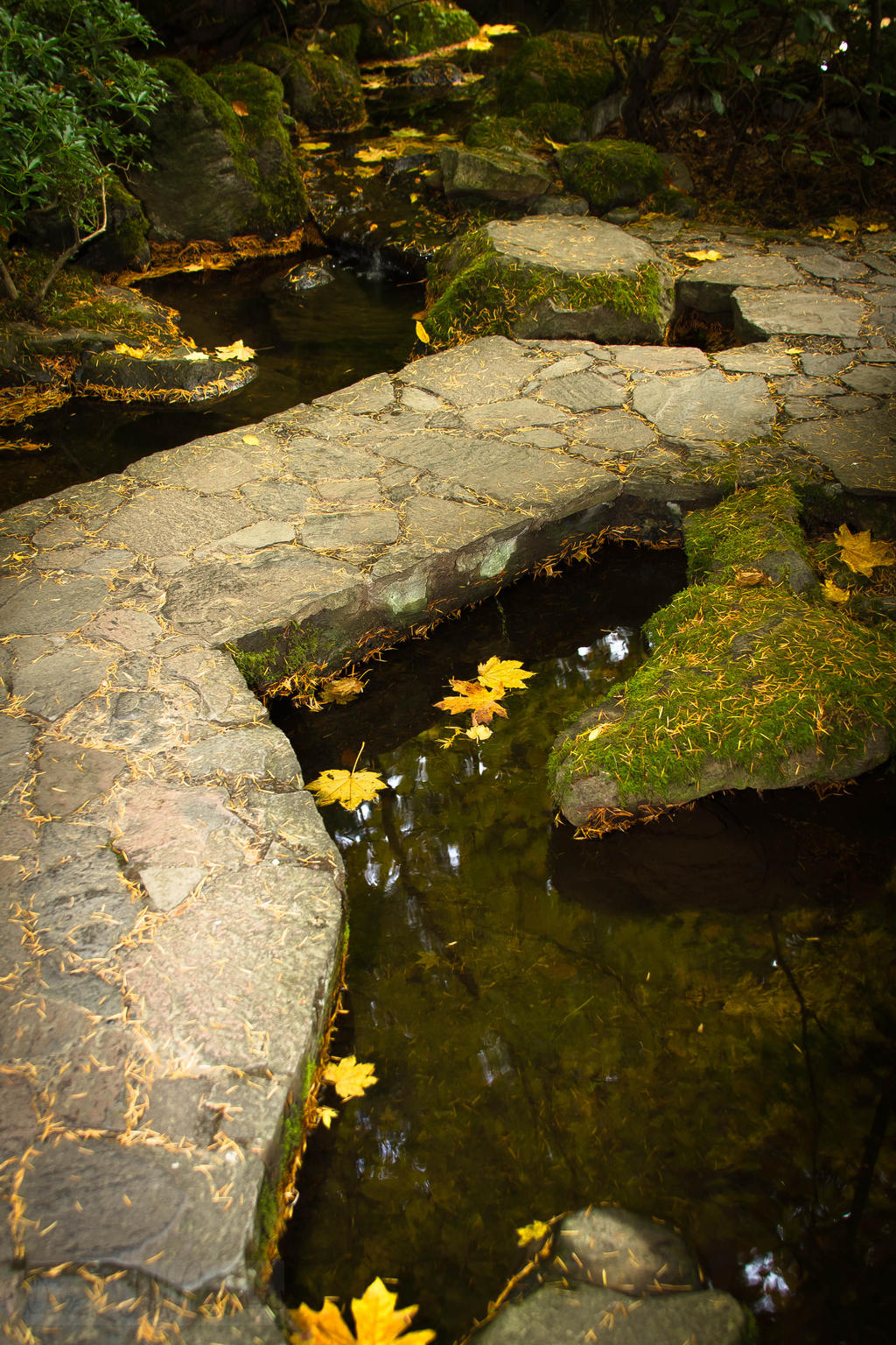 floating path by DerekMgrfx on DeviantArt