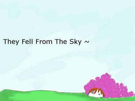 They Fell From The Sky?