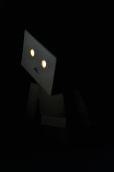 danbo